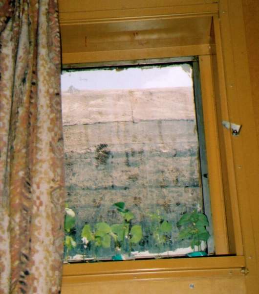 My beans going through the Panama Canal