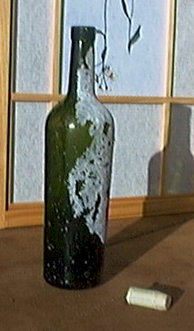 The Bottle