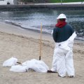 Cleaning the beach