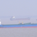 Chinese Coaster: Break Bulk
