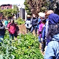 Hayes Valley Farm
