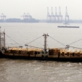 Chinese Coaster: Break Bulk 2