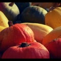 Squash at the market